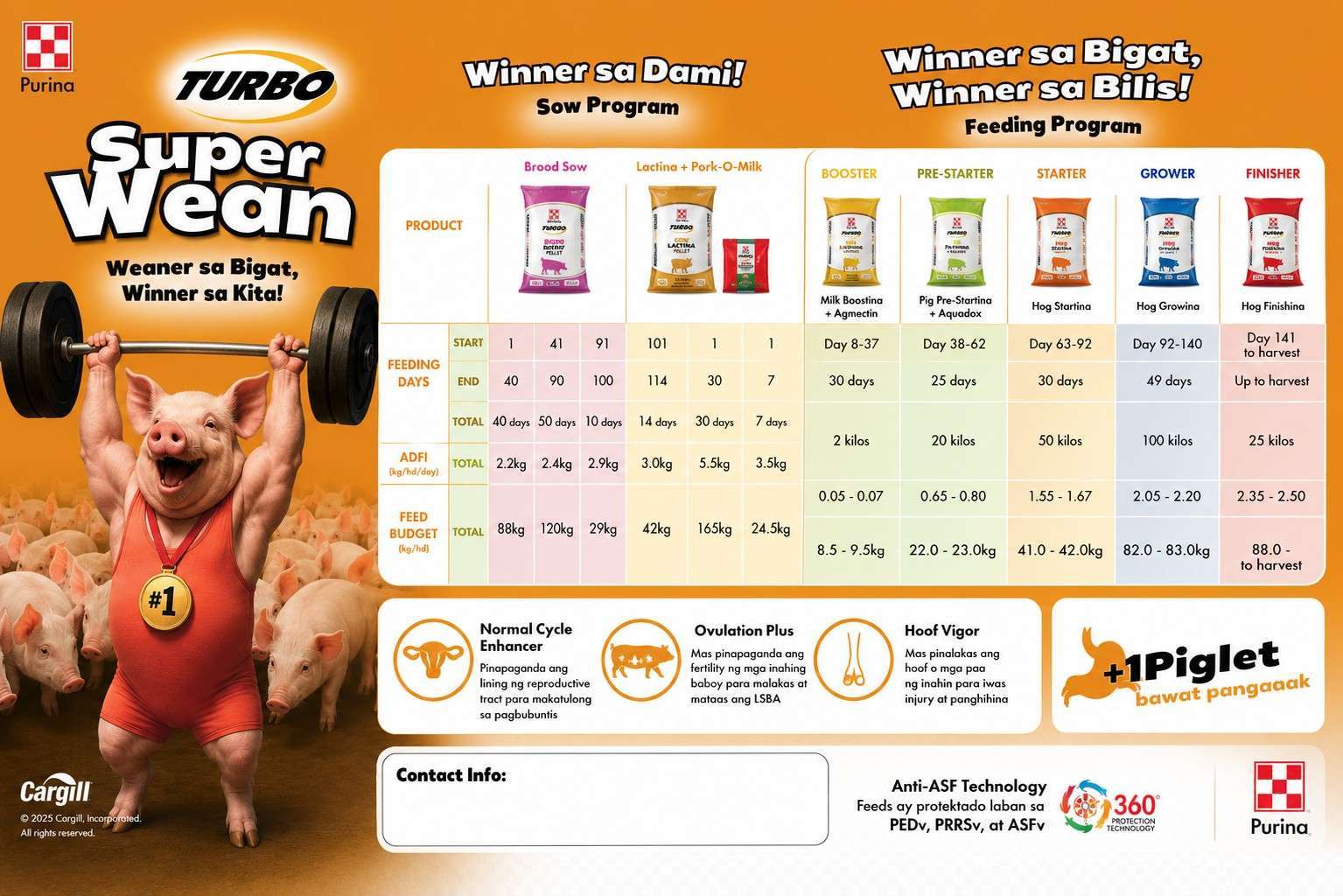 Purina Turbo Feeding Guide 2026