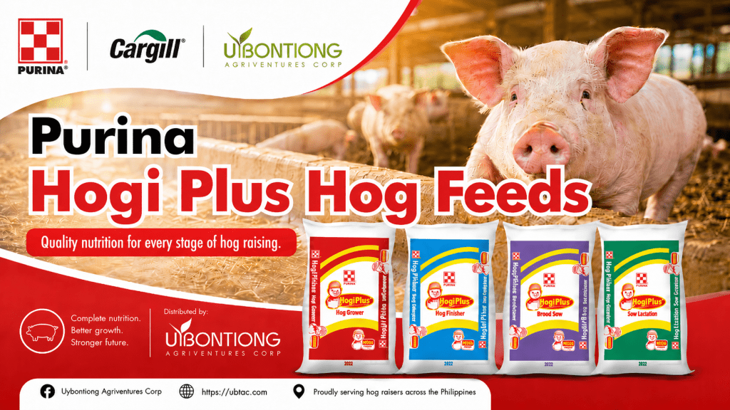 Purina Hogi Plus