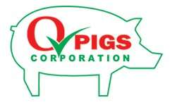 QPIGS